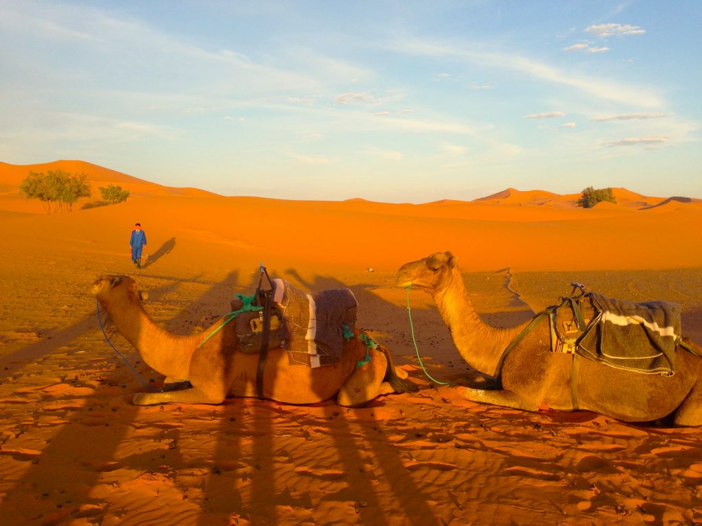 The dunes and Camels