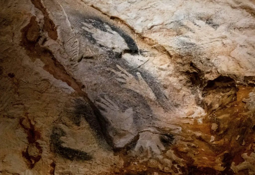 Cosquer Cave, Marseille: Prehistoric cave art from 27,000 years ago, revealing missing digits, early human communication and artistry. Image courtesy: New Scientist.