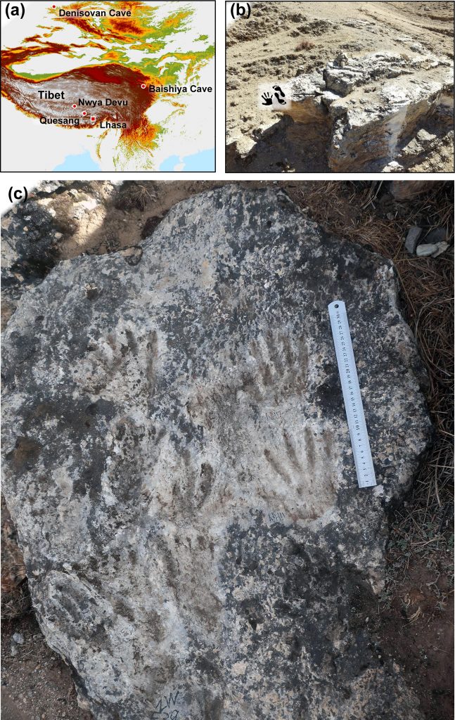 Discovered at a hot spring on the Tibetan Plateau, these 200,000-year-old hand and footprints could represent some of the earliest known cave art. Courtesy: Smithsonian Magazine