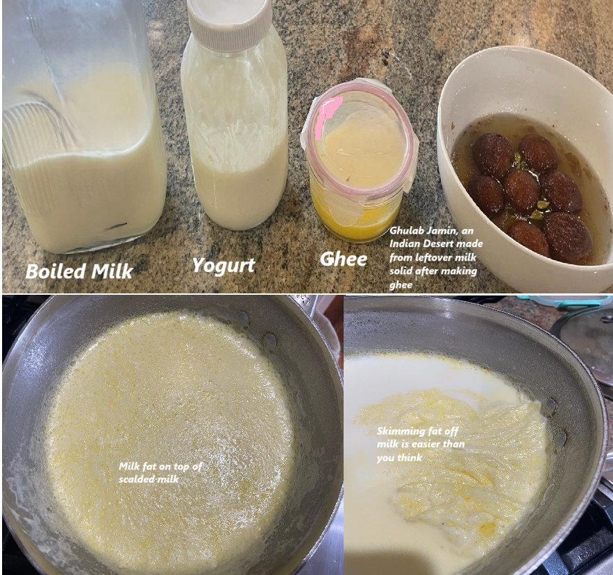 Milk and Milk Products